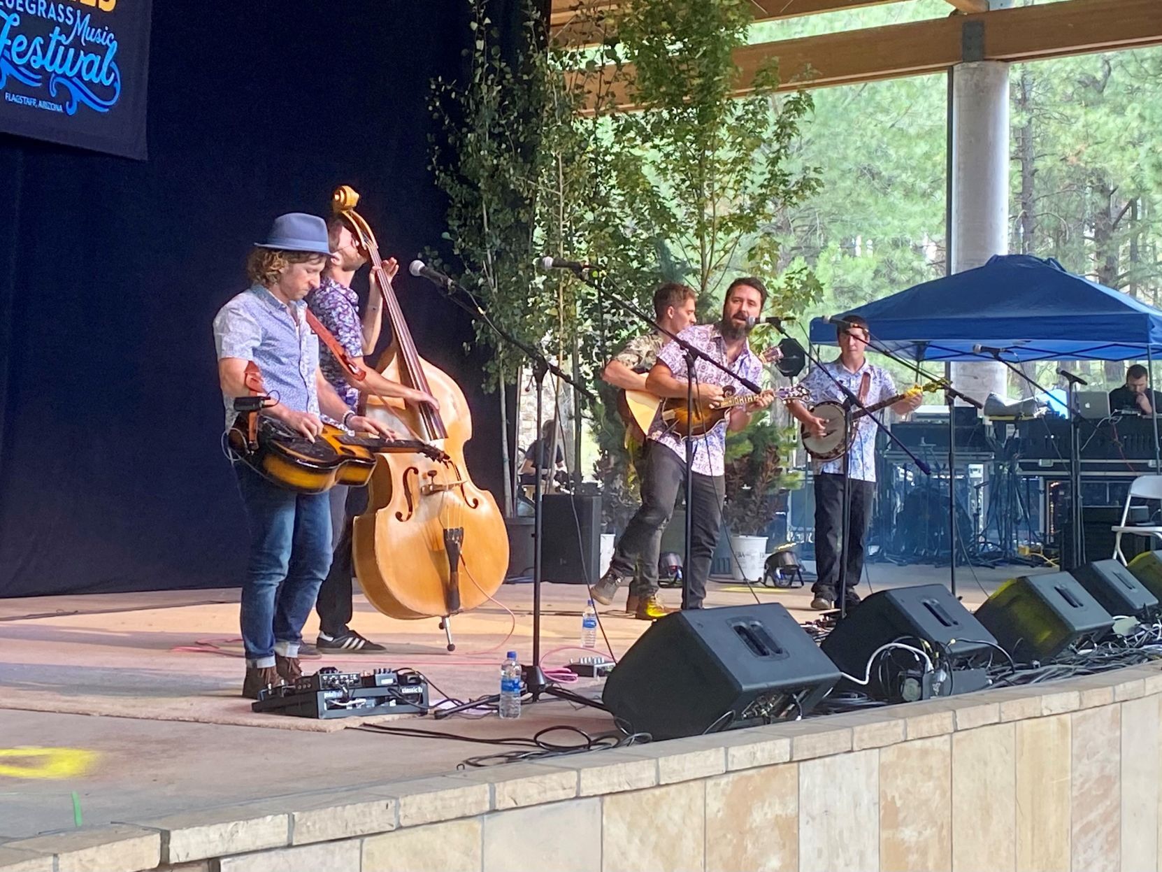 Fireside Collective at Pickin' in the Pines